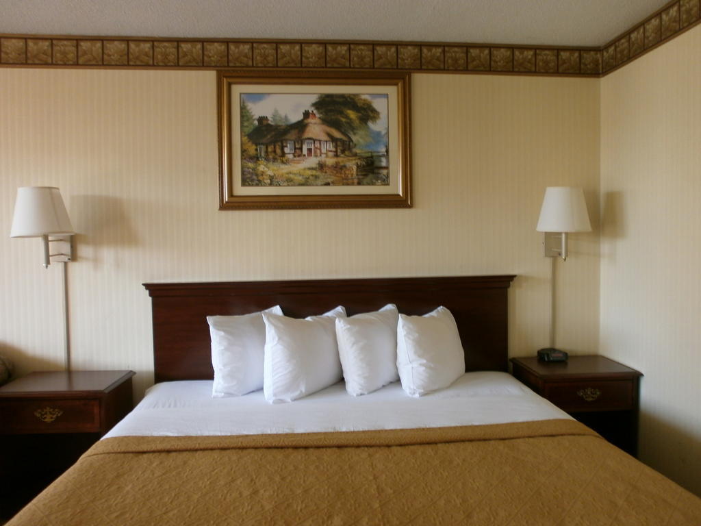 Stayapt Suites Alexandria-Fort Belvoir Номер фото